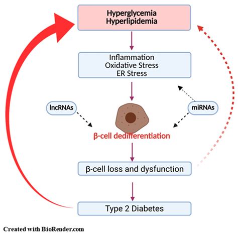 Diabetes and Beta.